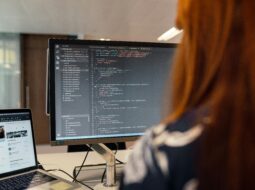 software engineering